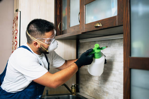 Best Commercial Pest Control Services  in Plains, KS