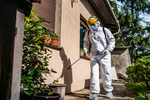 Best Mosquito Control Services  in Plains, KS