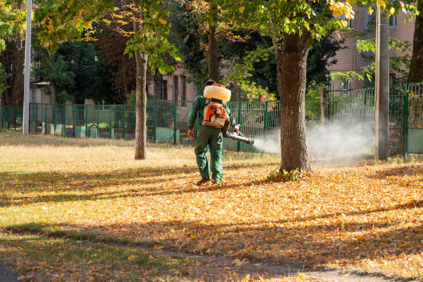 Best Pest Removal Services  in Plains, KS