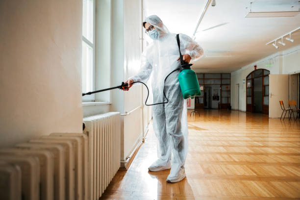 Best Pest Control Near Me  in Plains, KS